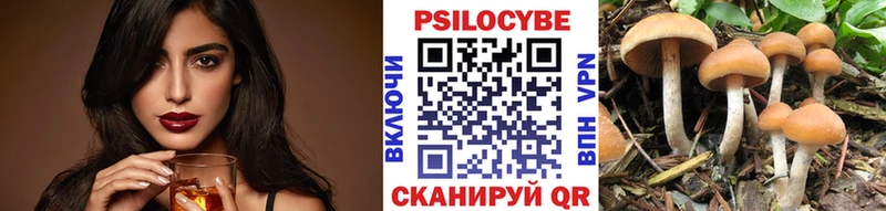 Купить закладки  Калининград  Псилоцибиновые грибы мухоморы 